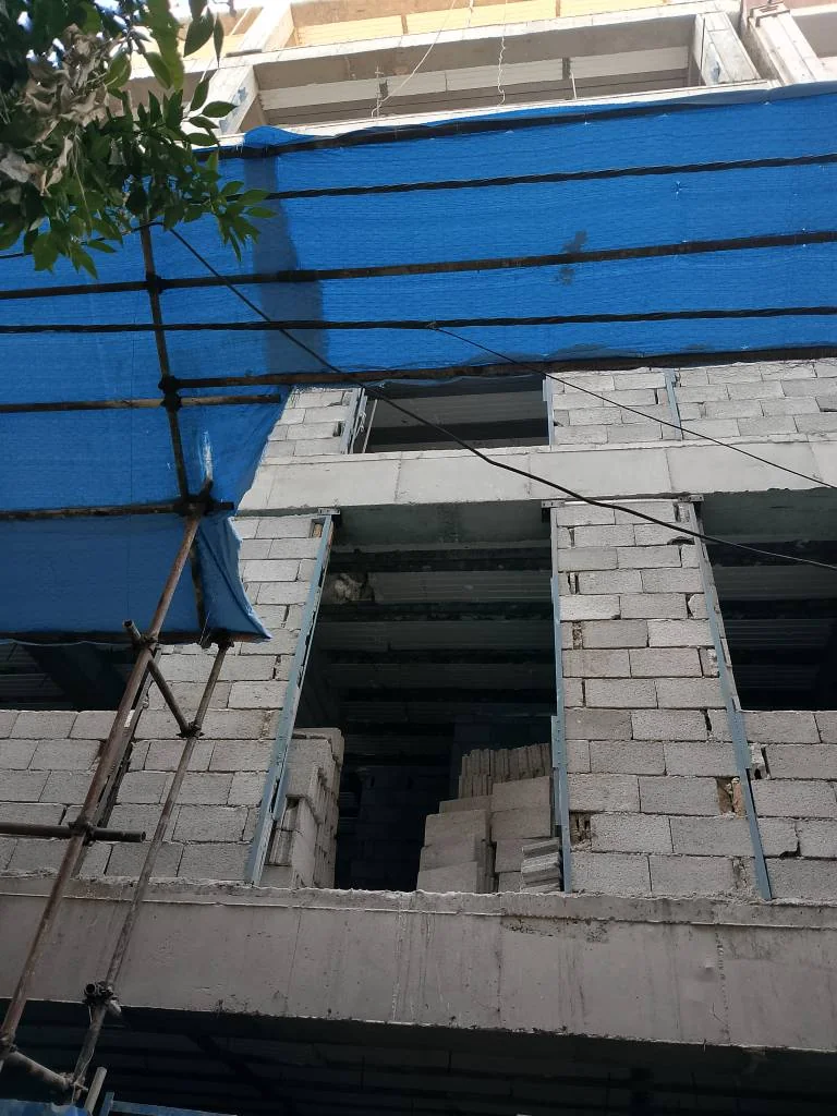امیر محمودی