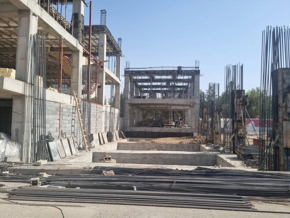 بدر